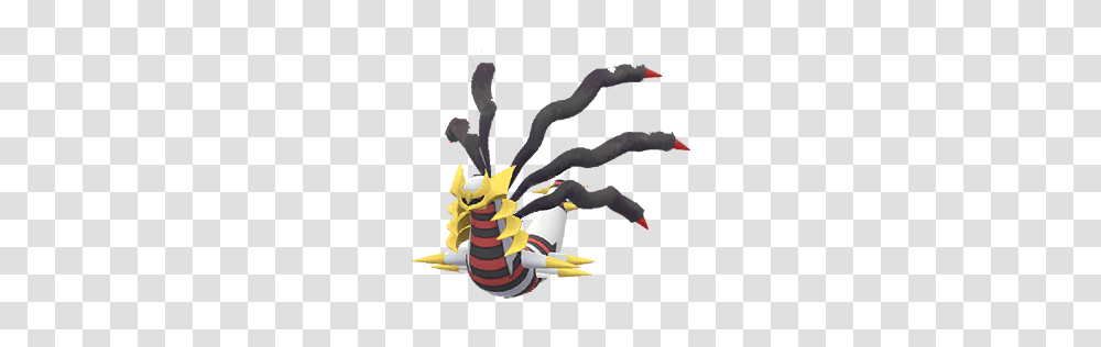 Giratina, Wasp, Bee, Insect, Invertebrate Transparent Png