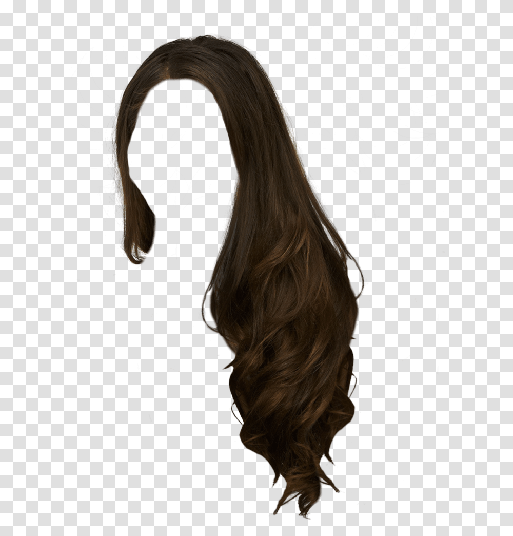 Girl Hair, Horse, Mammal, Animal, Wig Transparent Png