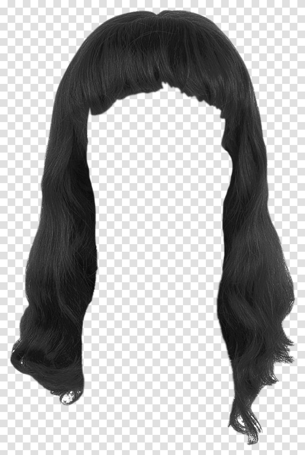 Girl Hair Image Black Girl Hair, Apparel, Horse, Mammal Transparent Png