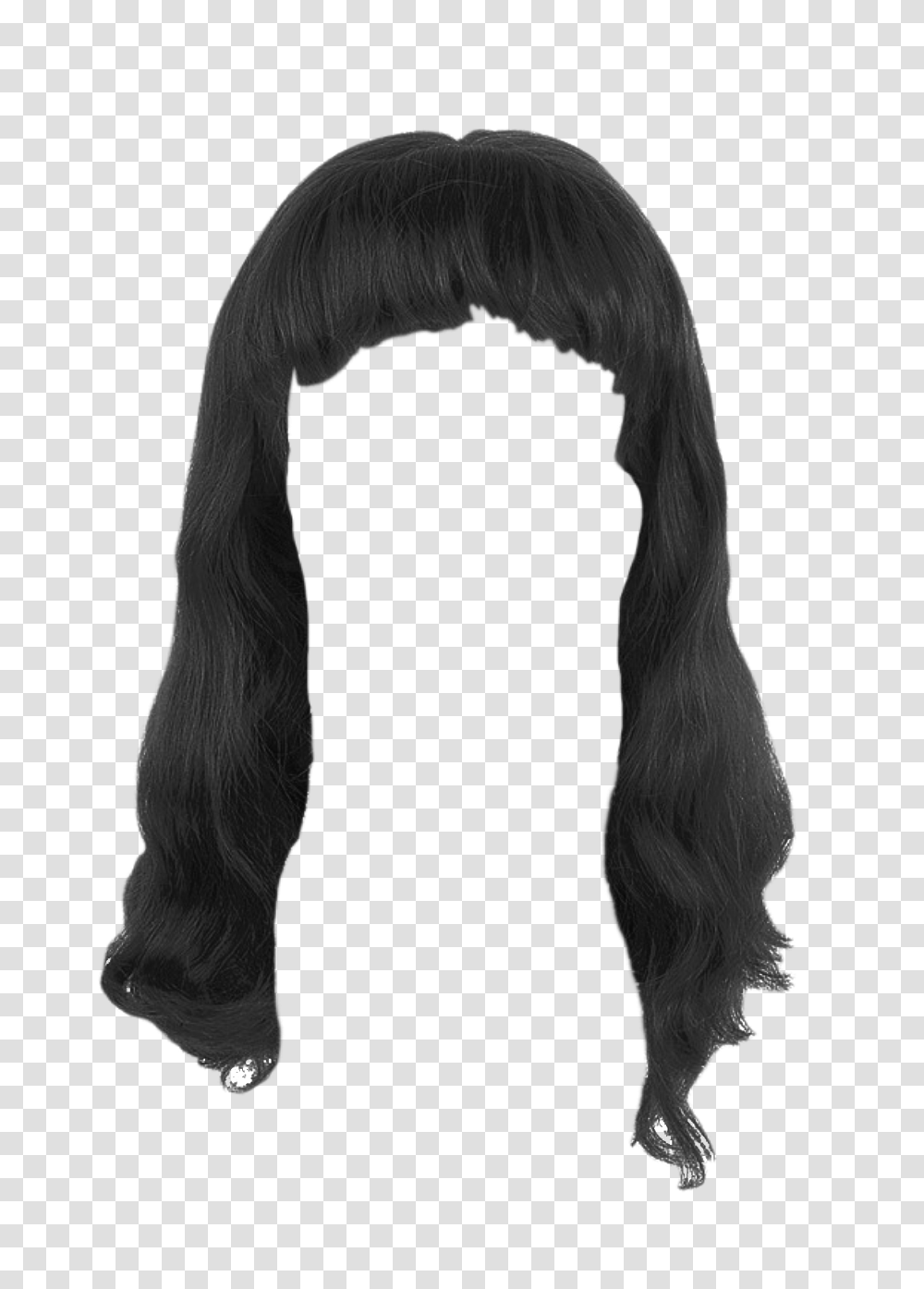 Girl Hair Image, Person, Fur, Horse, Mammal Transparent Png