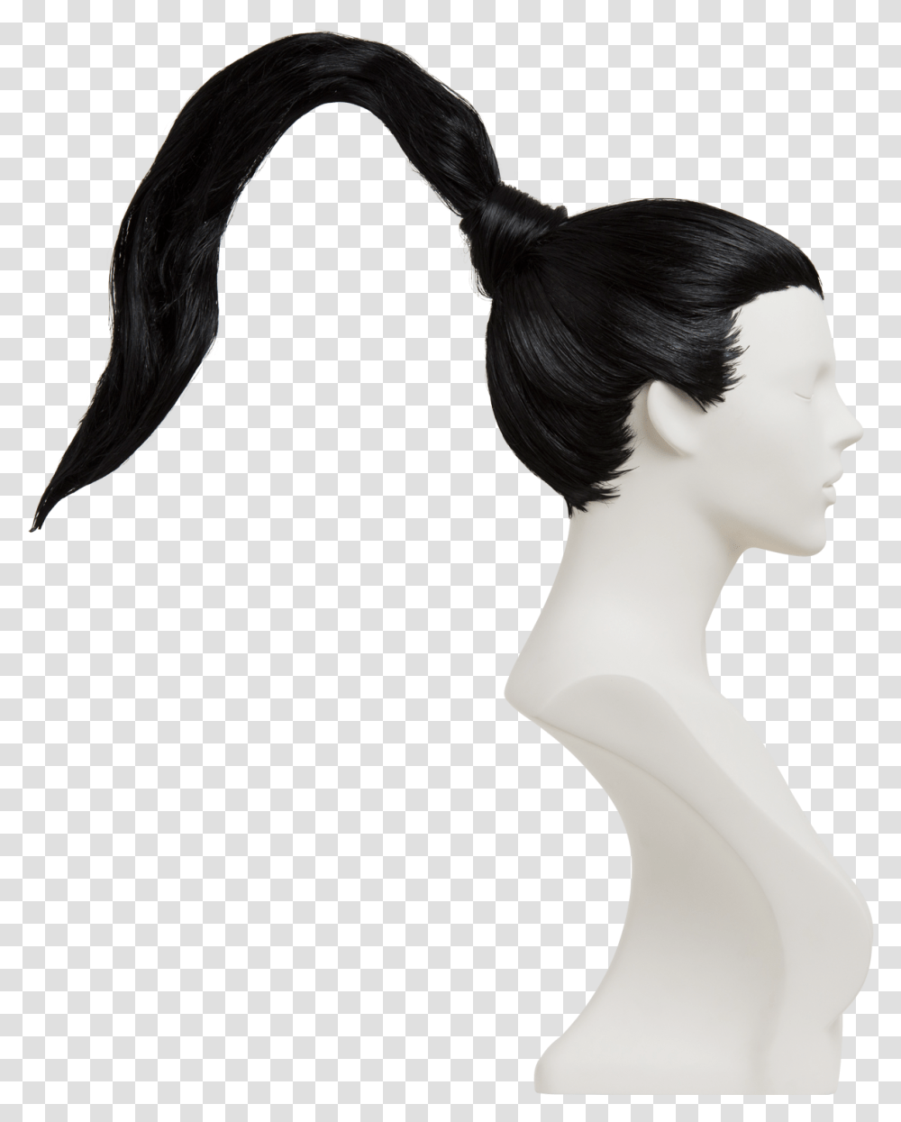 Girl, Hair, Person, Head Transparent Png