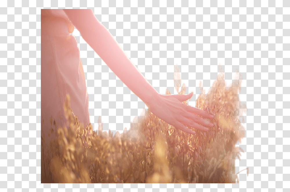 Girl, Hand, Person, Human, Holding Hands Transparent Png