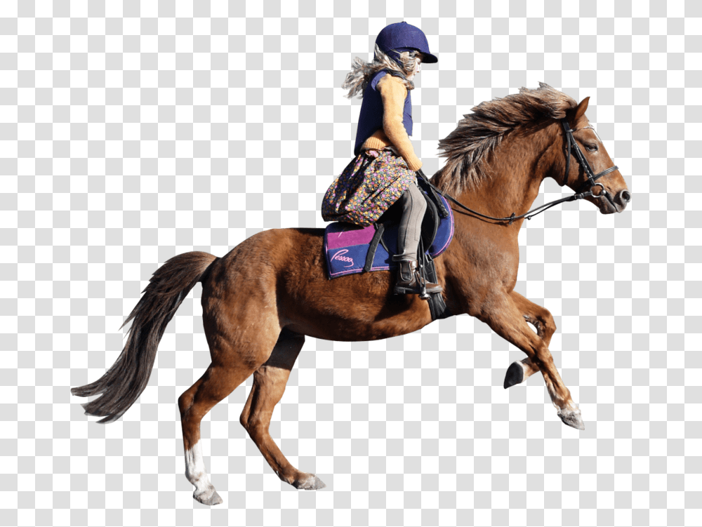 Girl Horse, Mammal, Animal, Person, Equestrian Transparent Png