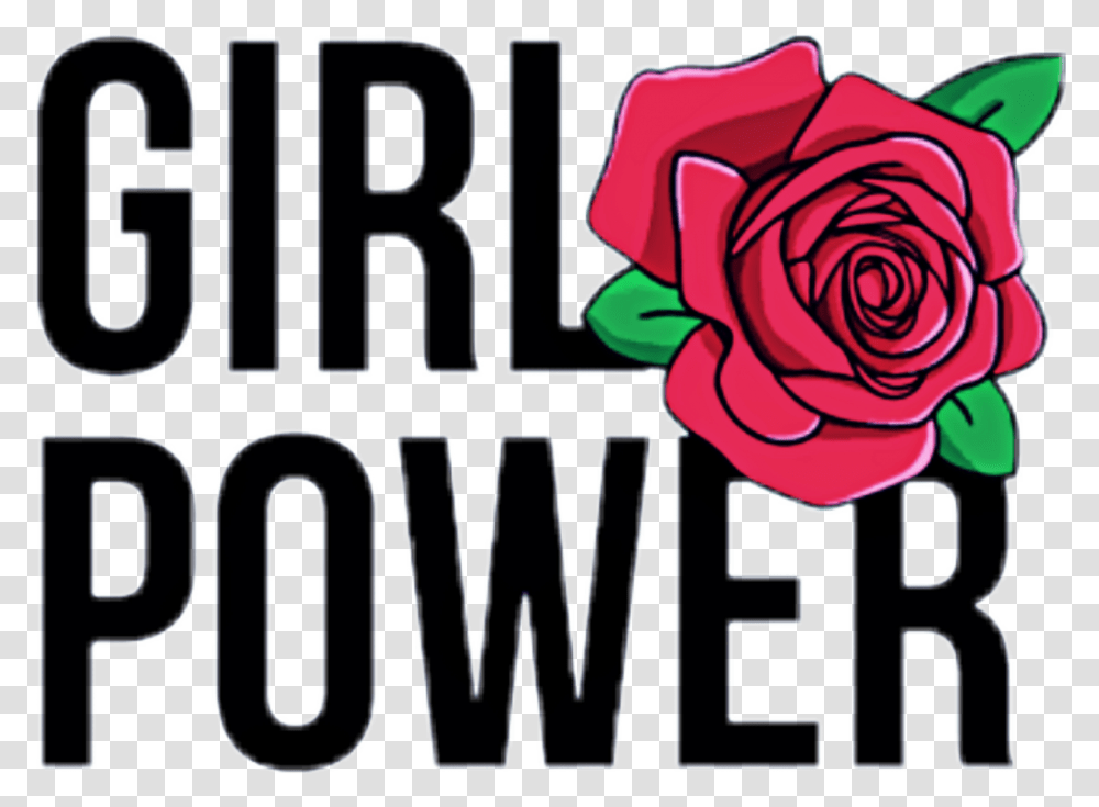 Girl Power Background Stickers Tumblr Girl Power, Rose, Flower, Plant Transparent Png