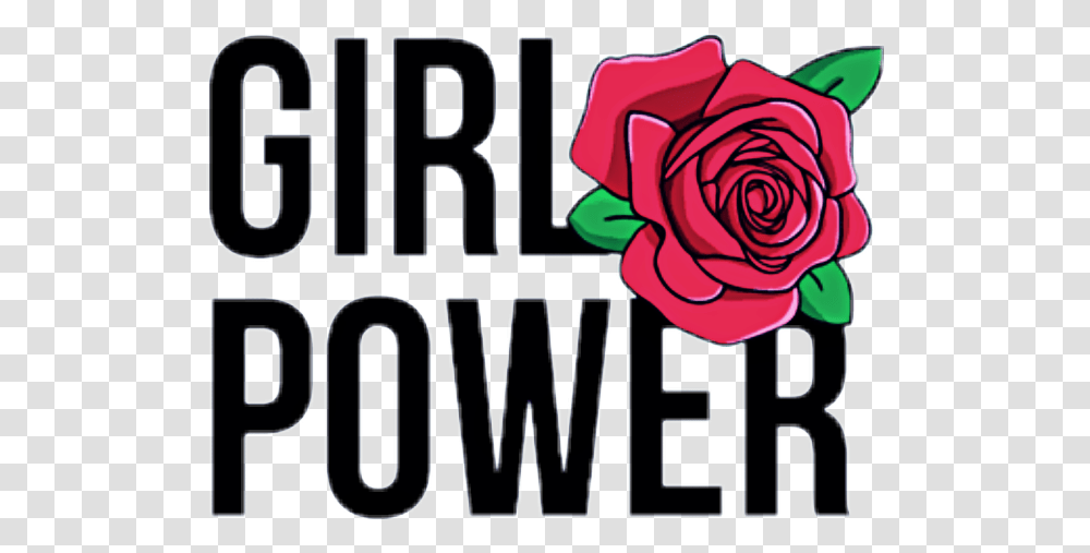 Girl Power, Rose, Flower, Plant, Blossom Transparent Png