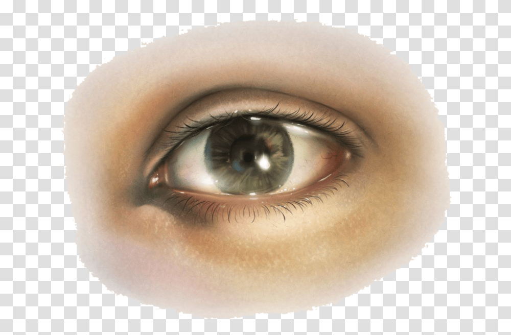 Girl Real Eye, Contact Lens, Skin, Person, Human Transparent Png