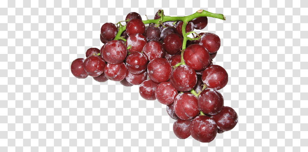 Gisoft Free Images Seedless Fruit, Plant, Grapes, Food Transparent Png