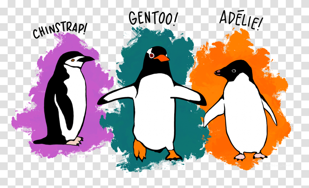 Github Tutorial Palmer Penguins, Bird, Animal, King Penguin Transparent Png