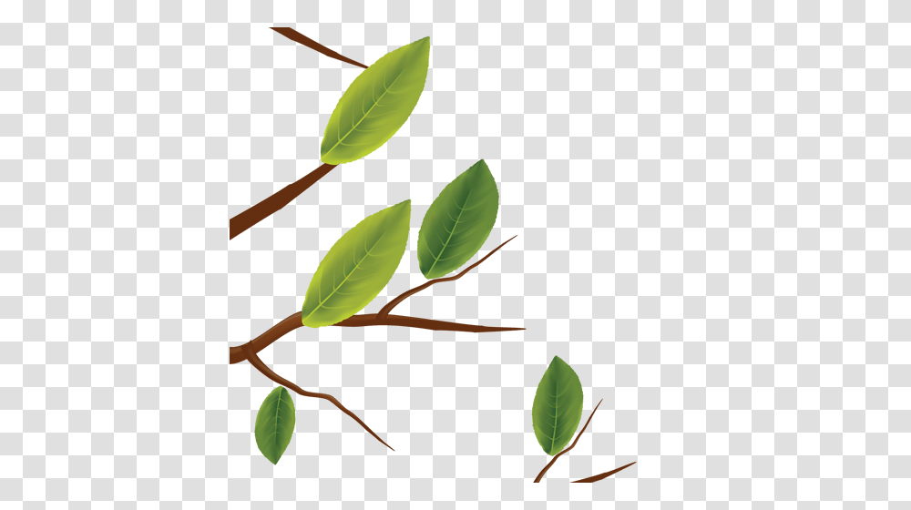 Giving Tree Friends Of Peterson, Leaf, Plant, Fruit, Food Transparent Png