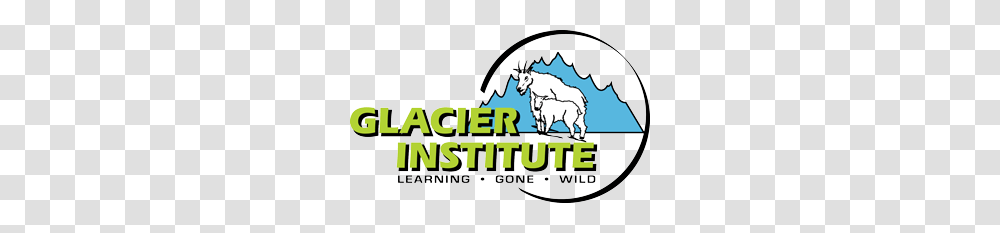Glacier Institute, Mammal, Animal, Goat, Wildlife Transparent Png