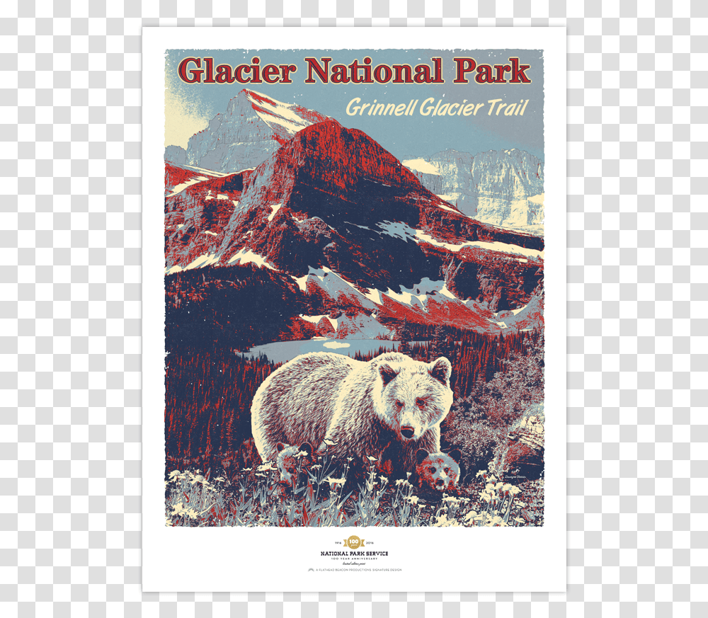 Glacier National Park Prints Kodiak Bear, Wildlife, Mammal, Animal, Brown Bear Transparent Png
