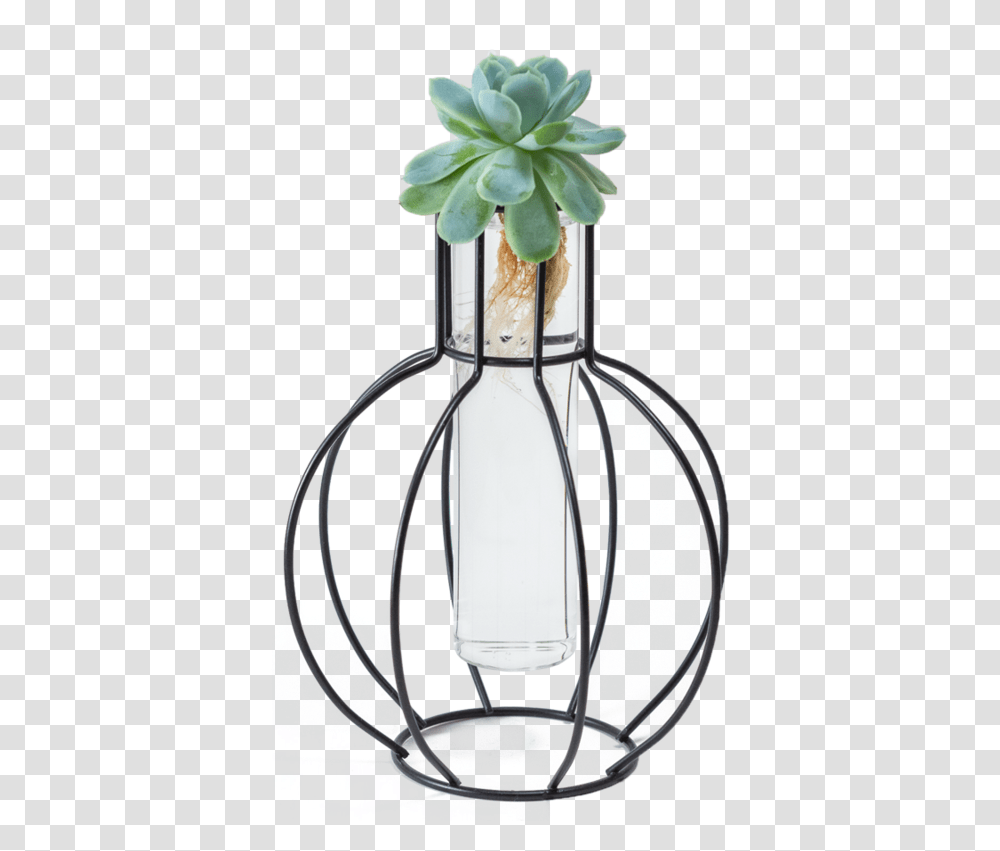 Glass Bottle, Jar, Beverage, Vase, Pottery Transparent Png