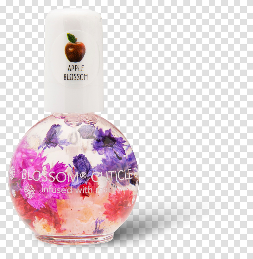 Glass Bottle, Perfume, Cosmetics Transparent Png