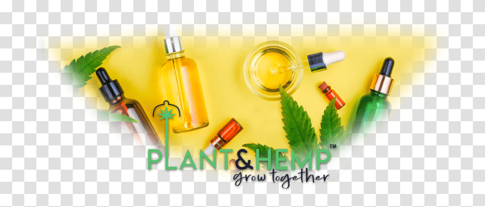 Glass Bottle, Plant, Jar, Vase, Pottery Transparent Png