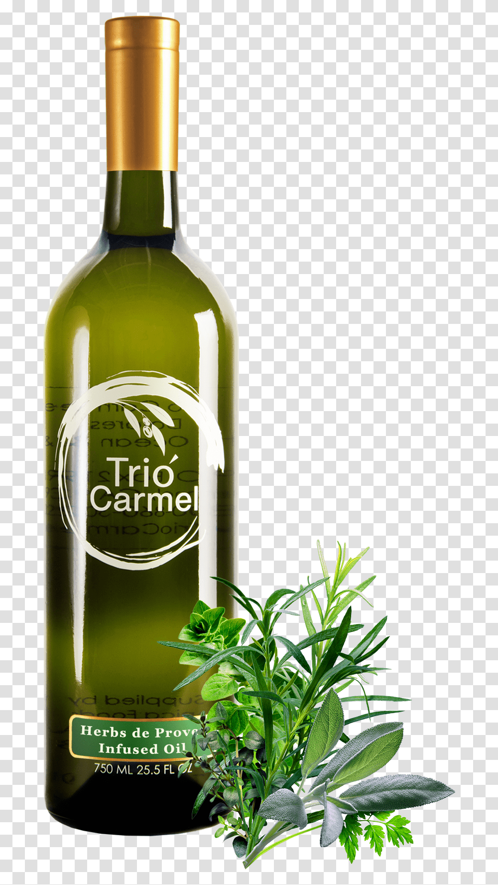 Glass Bottle, Potted Plant, Vase, Jar, Pottery Transparent Png