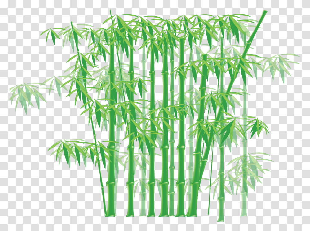 Glass Films In Bamboo Design, Plant, Gate Transparent Png