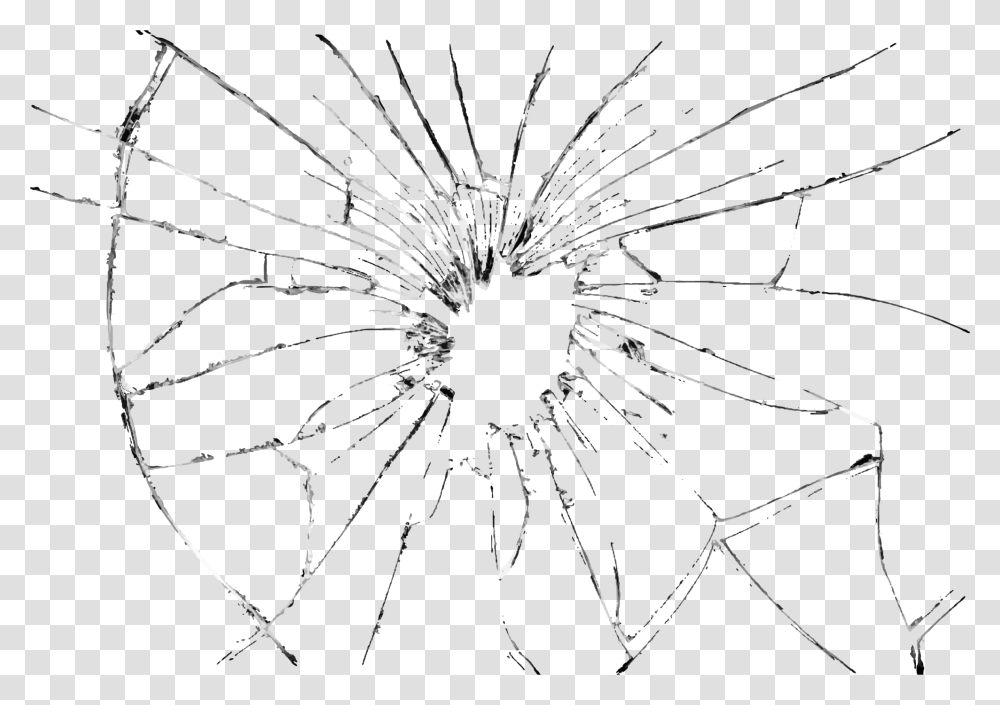 Glass Mirror Clip Art Bullet Hole Glass, Plant, Flower, Blossom, Spider Transparent Png