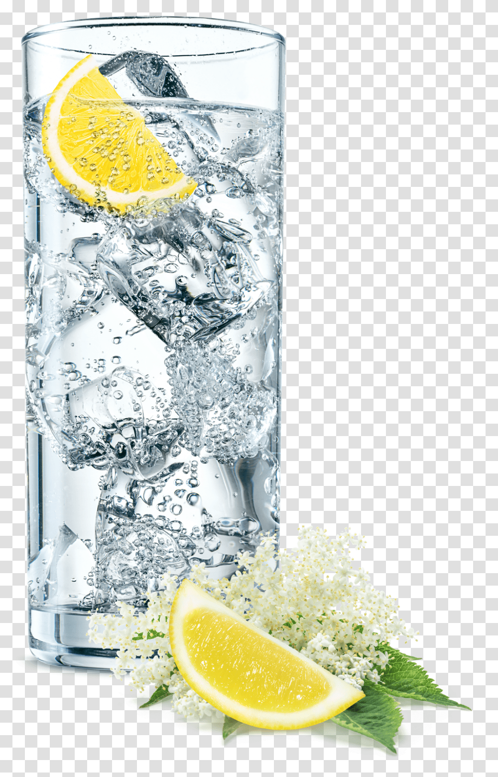 Glass Of Sparkling Water, Plant, Citrus Fruit, Food, Beverage Transparent Png