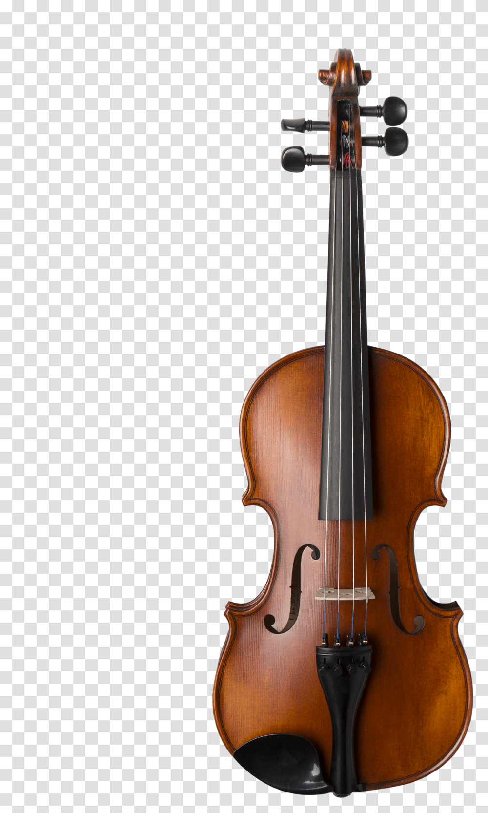 Glasser Composite Aex 5 String Violin, Leisure Activities, Musical Instrument, Viola, Fiddle Transparent Png