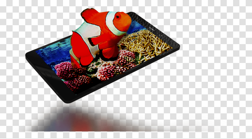 Glasses Free 3d Tablets Tablet Computer, Outdoors, Animal, Amphiprion, Sea Life Transparent Png