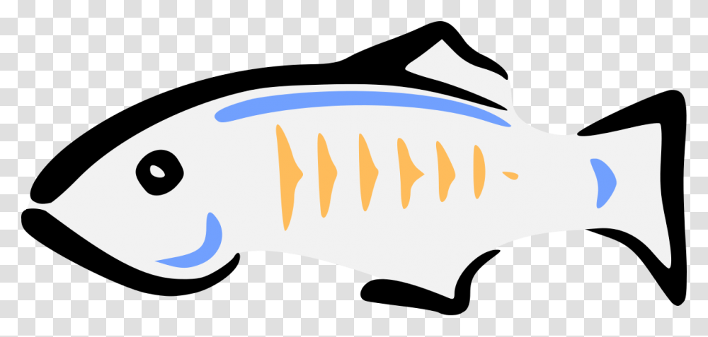 Glassfish Java, Pillow, Cushion, Shark, Sea Life Transparent Png