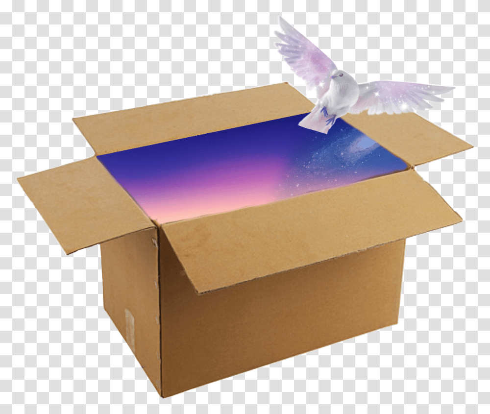 Glaxybox Galaxy Galaxybird Box Box Hummingbird, Animal, Carton, Cardboard, Pigeon Transparent Png