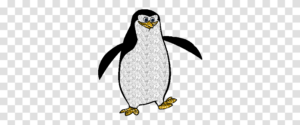 Glitter Gif Picgifs Penguin 8572 Penguin Animated Gif, Animal, Bird, Owl, Snowman Transparent Png