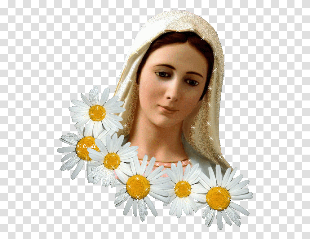 Glitter Graphics The Community For Enthusiasts Mother Mary With Flower, Daisy, Plant, Art, Person Transparent Png