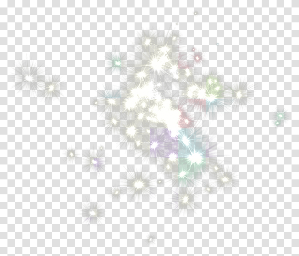 Glitter Light, Plant, Flower, Fireworks, Night Transparent Png