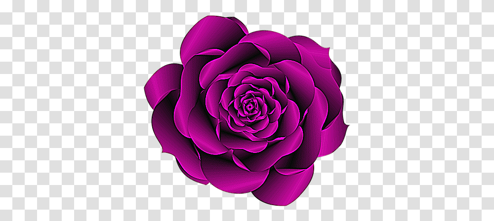 Glitter Purple Rose Clipart Japanese Camellia, Flower, Plant, Blossom, Dahlia Transparent Png
