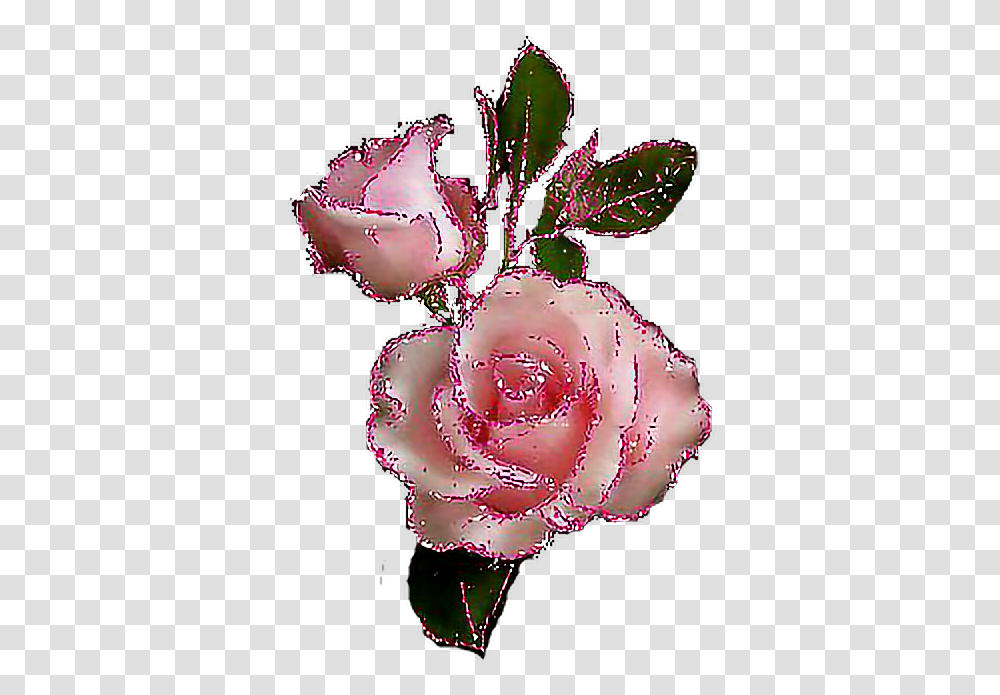 Glitter Sparkle Rose Glitter Roses, Plant, Petal, Flower, Blossom Transparent Png