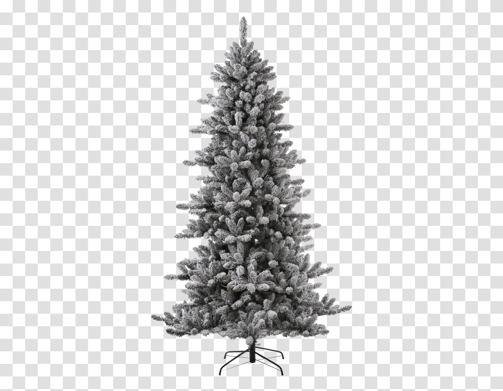 Glitzhome 7 Boreal Conifer, Tree, Plant, Christmas Tree, Ornament Transparent Png