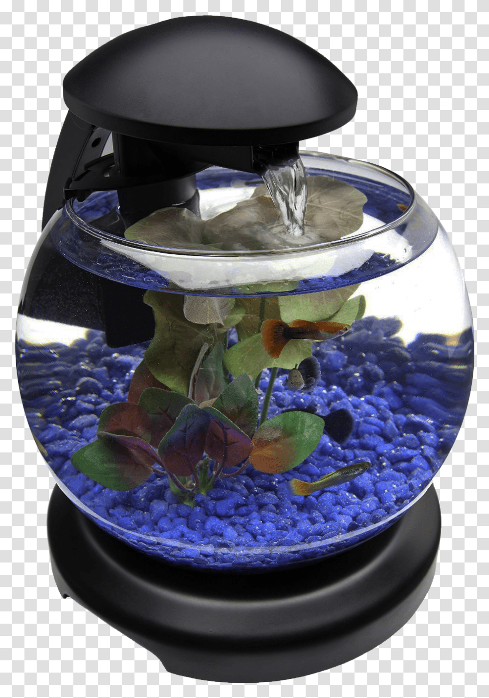 Glob Aquarium Fish Tank Aquarium Design, Water, Helmet, Clothing, Apparel Transparent Png