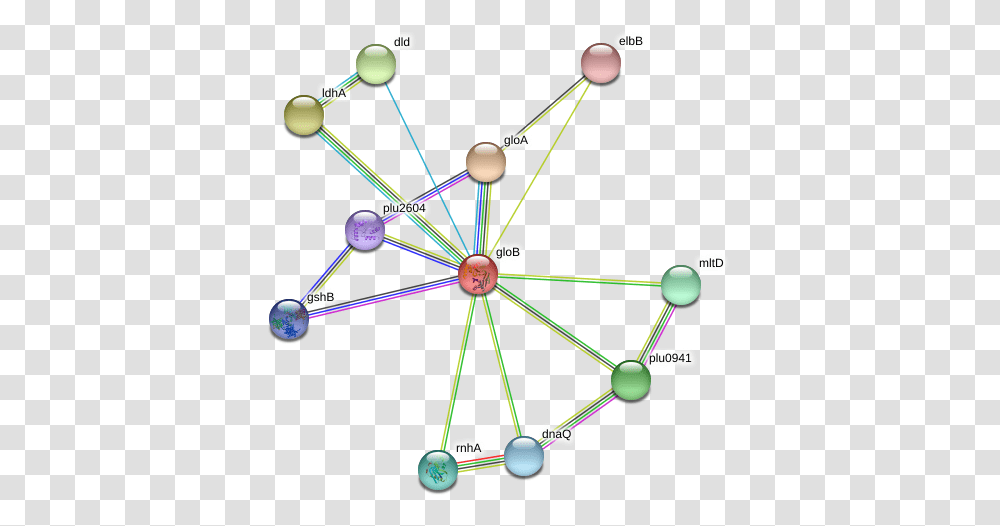 Glob Protein Circle, Network, Bow, Building, Diagram Transparent Png