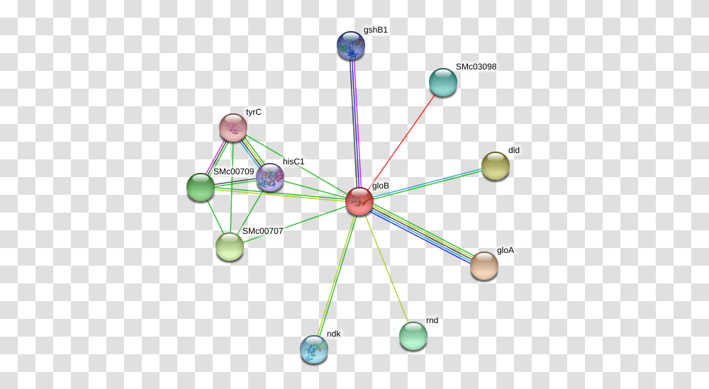 Glob Protein Circle, Network, Bow, Sphere, Building Transparent Png