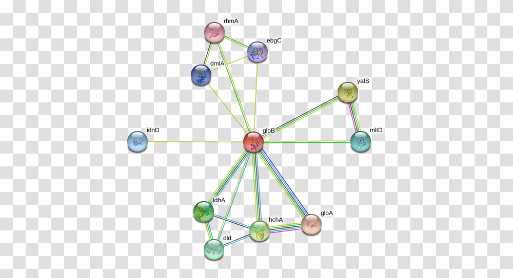 Glob Protein Circle, Network, Diagram, Building, Astronomy Transparent Png