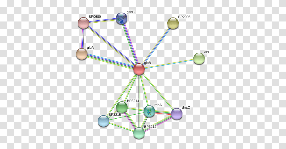 Glob Protein, Network, Diagram, Building Transparent Png
