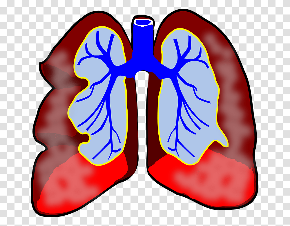 Global Asthma Copd Market To See Major Growth, Hand Transparent Png