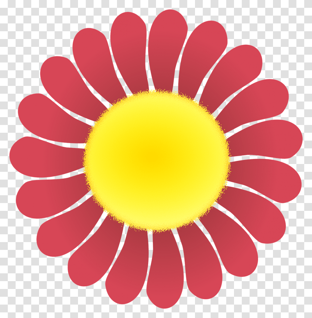 Global Goals White Logo, Daisy, Flower, Plant, Daisies Transparent Png