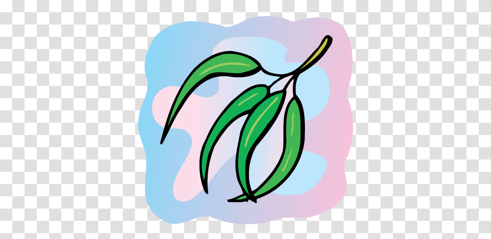Global Grocery Amnh, Plant, Food, Fruit, Painting Transparent Png