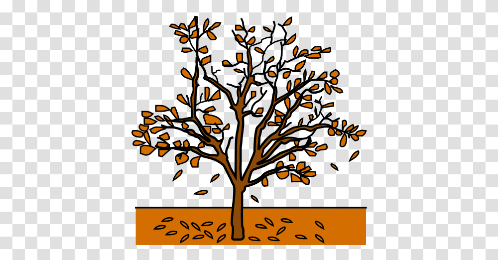 Global Symbols Fall Tree Autumn In Arasaac Dibujo De A Color, Plant, Paper, Text, Confetti Transparent Png