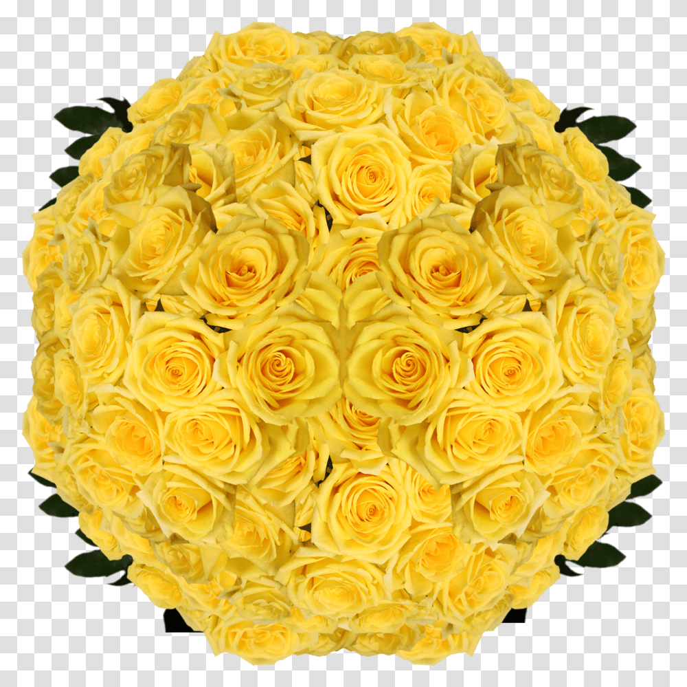 Globalrose Best Yellow Roses 150 Gold Strike Roses Long Garden Roses, Floral Design, Pattern, Graphics, Art Transparent Png
