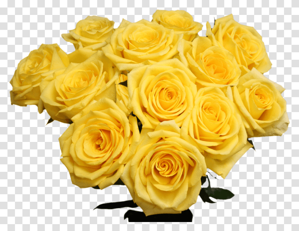 Globalrose Fresh Cut Gold Strike Roses 50 Yellow Roses Garden Roses, Plant, Flower, Blossom, Flower Arrangement Transparent Png