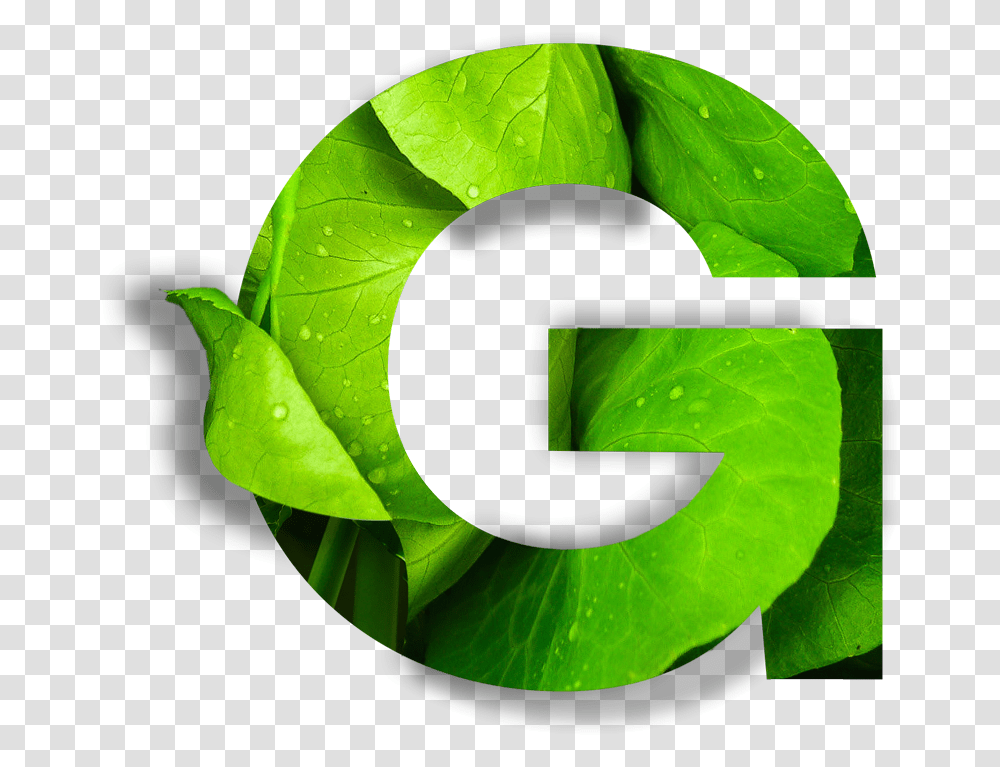 Globe 2020 Vancouver, Green, Plant, Leaf Transparent Png
