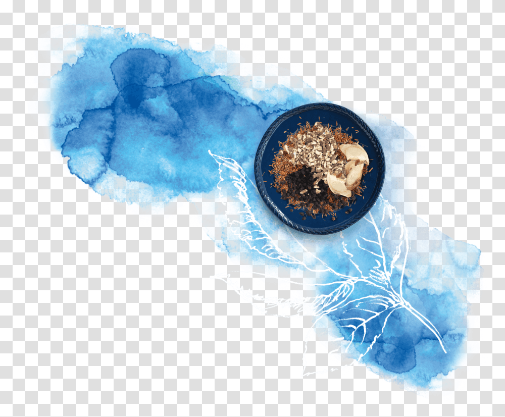 Globe, Invertebrate, Animal, Sea Life, Jellyfish Transparent Png