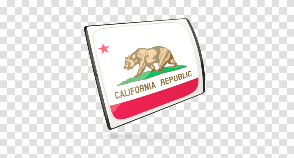 Glossy Rectangular Icon Illustration Of Flag Ofltbr Gt California, Mammal, Animal, Wildlife, Dog Transparent Png