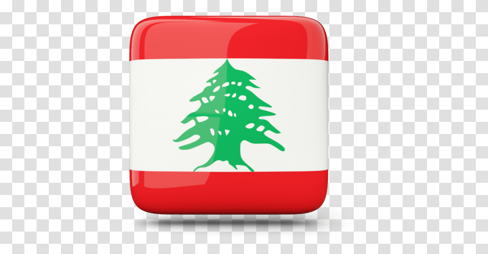 Glossy Square Icon Coat Of Arms Of Lebanon, Tree, Plant, Christmas Tree, Ornament Transparent Png