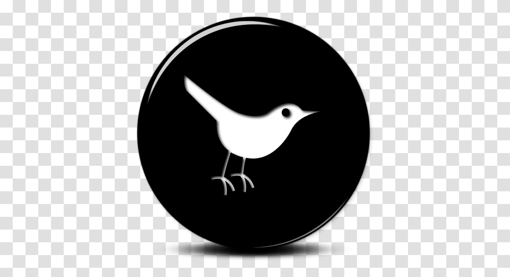 Glossyblack3dbuttoniconsocialmedialogos Red Twitter, Bird, Animal, Wren, Blackbird Transparent Png