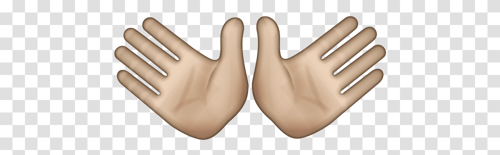 Glove, Bird, Animal, Plywood, Horn Transparent Png