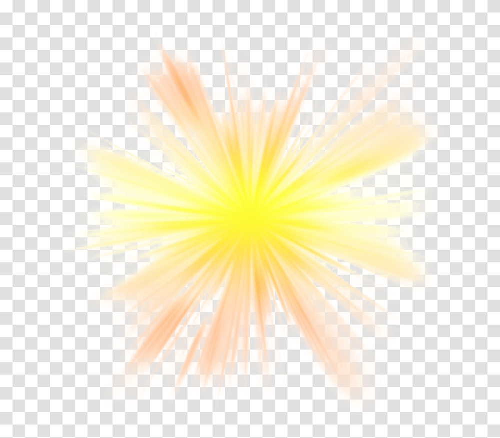 Glow Image Darkness, Plant, Anther, Flower, Petal Transparent Png